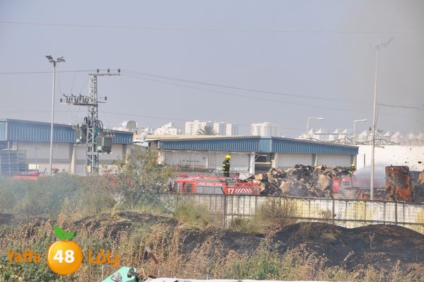 firecartoonsecnd506 (27).JPG